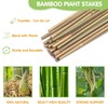 GAGINANG Plant Stakes,4FT Longer Sturdy Natural Bamboo Garden Stakes,GAGINANG 25Pcs