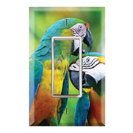 Graphics Wallplates - Exotic Pet Bird Macaw Parrots - Single Rocker/GFCI Wall Plate Cover