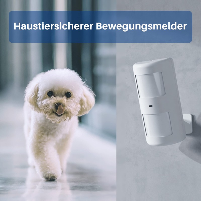 Anti-theft alarm system