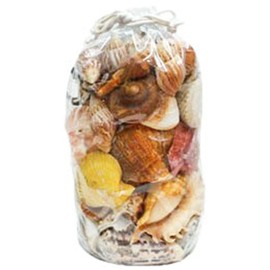 U.S. Shell 69463 Designer Shell Gift Bag X-Large