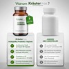 Kräutermax Acidophilus Probiotic+ Capsules 1 x 60 Pieces