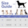 A4Pet Soft Dog Crate 30inch, Easy On The Go, Easy