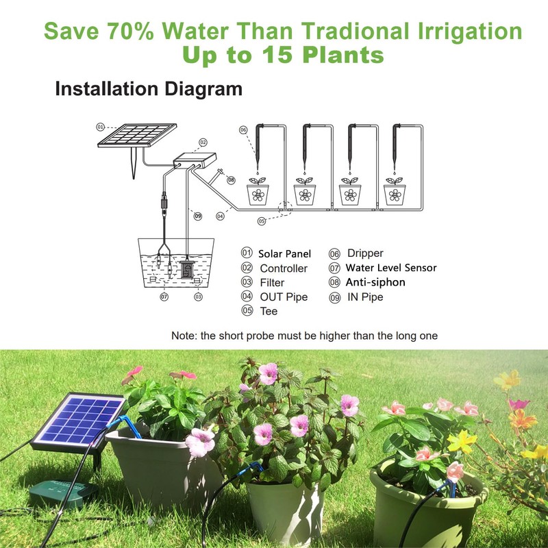 Lewisia 2W Solar Automatic Drip Irrigation Kit with Timer Auto