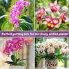 Riare 4QT Orchid Potting Mix for Repotting- Orchid Repotting Kit