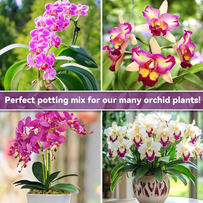 Riare 4QT Orchid Potting Mix for Repotting- Orchid Repotting Kit