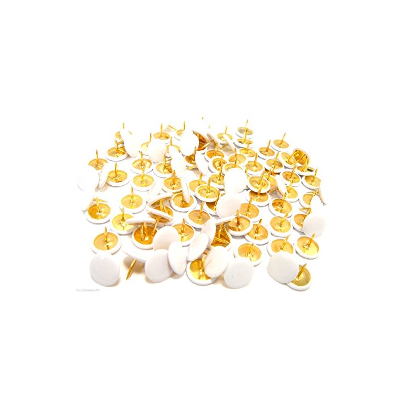 White Drawing Pins Brass White Headed Drawing Pins Thumb Tacks