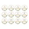 12pcs Baby Monthly Milestone Cards, Paper Photo Prop Monthly Milestone Discs, 1-12 Months Milestone Markers for Baby Shower