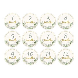 12pcs Baby Monthly Milestone Cards, Paper Photo Prop Monthly Milestone Discs, 1-12 Months Milestone Markers for Baby Shower