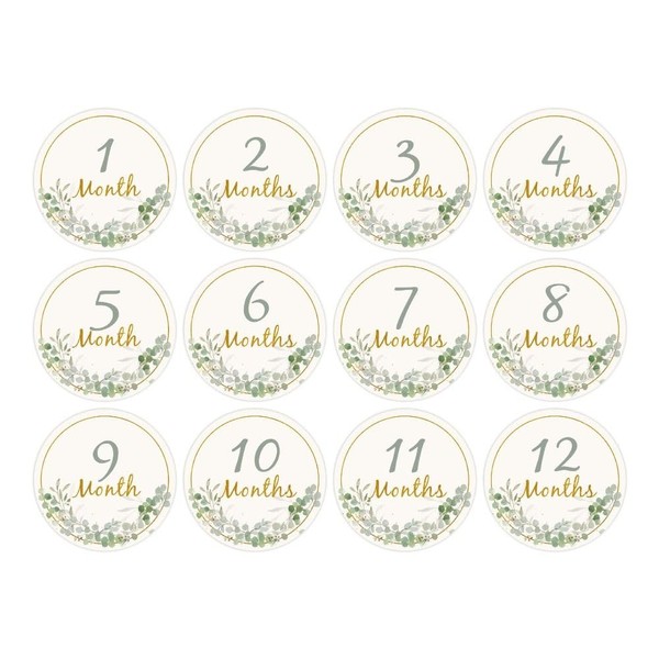 12pcs Baby Monthly Milestone Cards, Paper Photo Prop Monthly Milestone