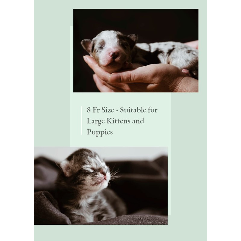 LBH Market Puppy Feeding Tube Kit/Large Kitten Feeding Tube Kit