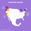 Spindrift "Concord Freeze" Grape Soda Made With Real Squeezed Fruit