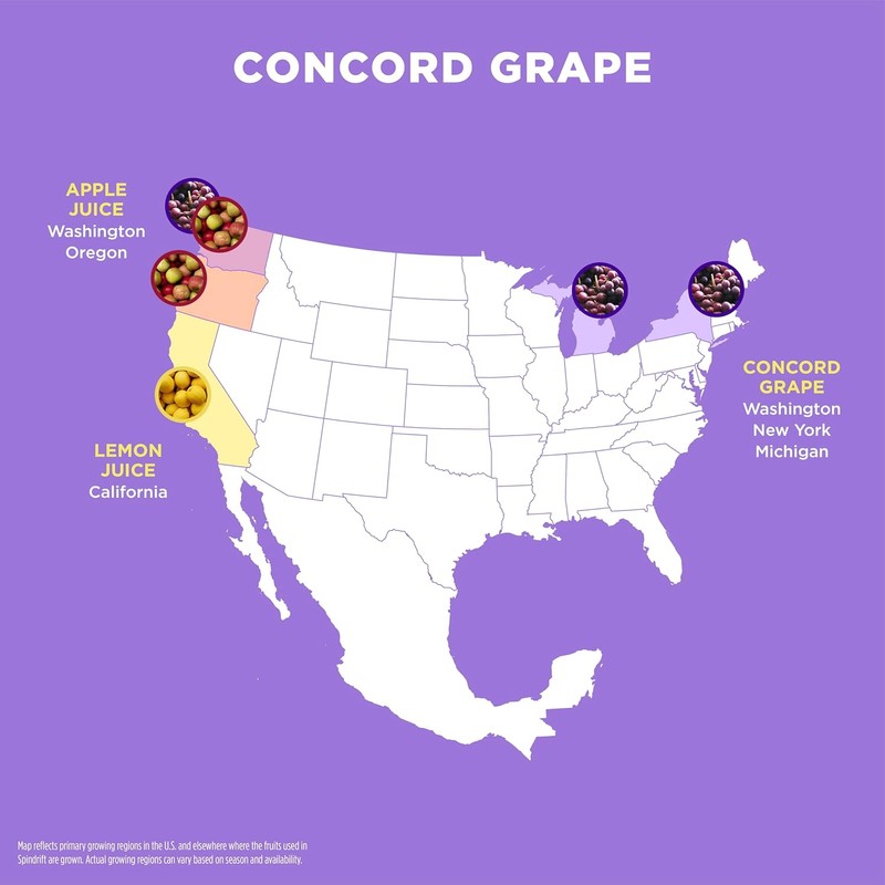 Spindrift "Concord Freeze" Grape Soda Made With Real Squeezed Fruit
