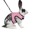 LuLiyLdJ Pink Rabbit Lead, Dwarf Rabbit Accessories, Rabbit Lead, Rabbit