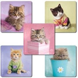 SmileMakers Rachael Hale Cats Stickers - 100 Per Pack