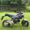 Minho Motorcycle Carbon Fibre Front Fender Fit For Honda Grom