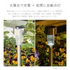 Takeda Corporation SLH-79 Stainless Steel Solar Light