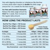 Nzymes® Bac-Pak Plus 400 Grams Digestive Enzymes and Probiotics for