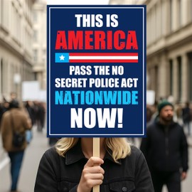 No Kings In America Protest Sign, This is America, Anti-Trump, Political Activist Poster, Rally Sign, Resist Fascism Protest Poster