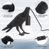 Shandaglo Crow Lamp Raven Table Lamp with Bulb, Crow Light