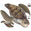 Create-A-Mural : Sea Turtle Wall Decal ~Realistic Undersea Animal for