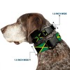 Buckle-Down PC-W31002-S Dog Collar Plastic Clip Buckle, 1" x9-15, Jamaica