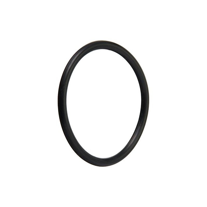Pentair 191474 O-Ring Replacement Pool/Spa Filter and Skimmers