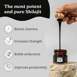 Pure BetterAlt Pure Himalayan Shilajit Resin High Potency Gold Grade for Men & women