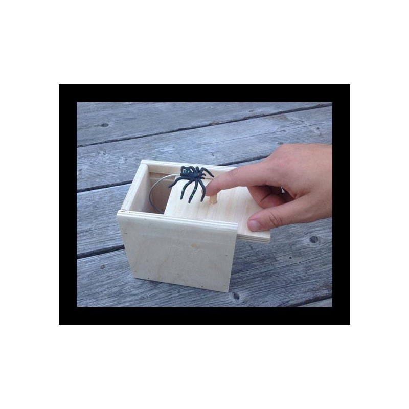 Spider Scare Box - Limited Time Price!