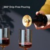 RBT Wine Pourer Stopper 360° Drip-Free Pouring, Low-Profile Stainless Steel