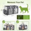 TOYSBOOM Cat Carrier for 2 Cats - Double Pet Carrier