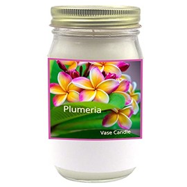 Plumeria Vase Candle - Smells like Plumeria Flowers. (Large Jar)