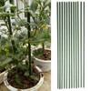 12Pcs Gardening Climbing Tomato Cucumber Stand Plant Stake Gardening Accessories