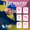 Zeal Electrolyte Powder - 90 Servings | Keto Electrolytes Powder
