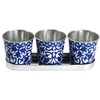 Fallen Fruits Decorative POTS ON Tray, Ideal for Herbs, Metal,
