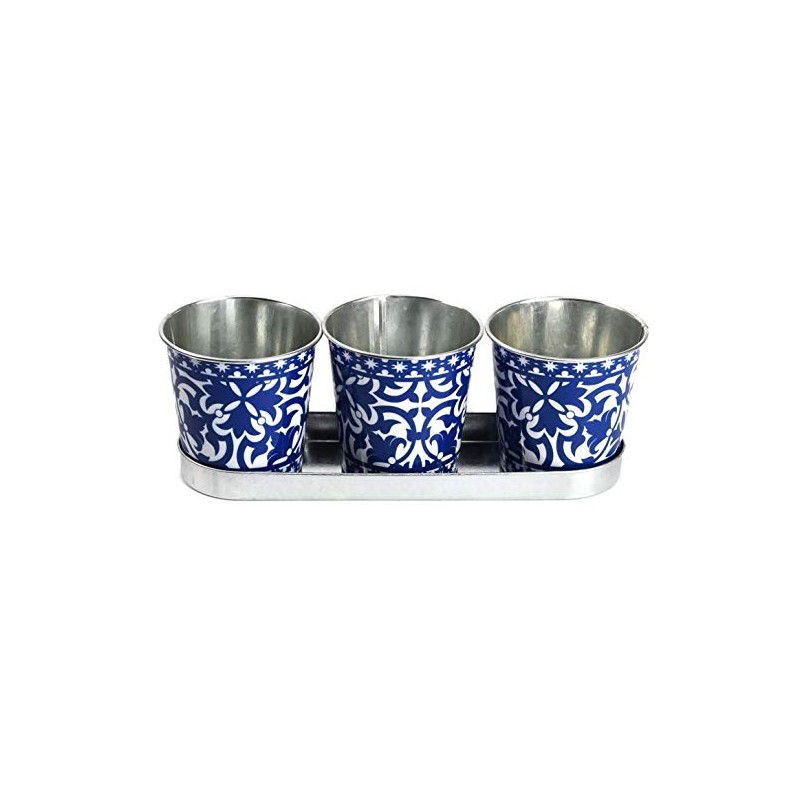 Fallen Fruits Decorative POTS ON Tray, Ideal for Herbs, Metal,