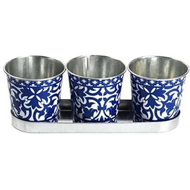 Fallen Fruits Decorative POTS ON Tray, Ideal for Herbs, Metal, Blue & White, one Size