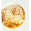 Dalba White Truffle Vita Toning Serum Toner Todo Tipo De