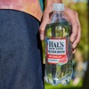 Hal's New York Seltzer Water, Watermelon Sparkling Water, 20 Fl