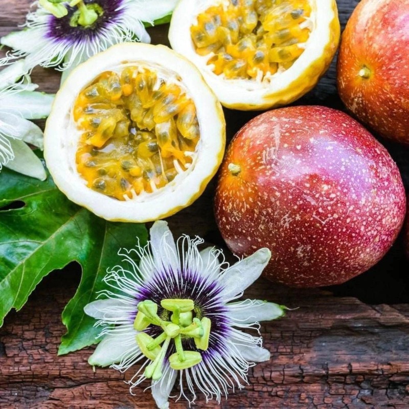 ZEshops 50pcs Passion Fruit Seeds – Purple-Skinned Variety for Home