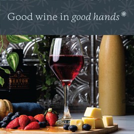 Vikko Wine Glasses, Set of 6 Stemmed Wine Glasses for Red and White Wine, 11.25 Oz Capacity, Thick and Durable Wine Glasses, Small Wine Glasses with Stem, Red Wine Glasses