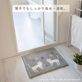 OKA Easy Dry Bath Mat, Mint, Approx. 18.9 x 23.6 inches (48 x 60 cm), Gray (Water Absorbent, Quick Drying, Foot Wipe Mat, Antibacterial, Odor Resistant, Anti-Slip)