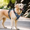 Timos Dog Harness Large Sized, No Pull Pet Harness with