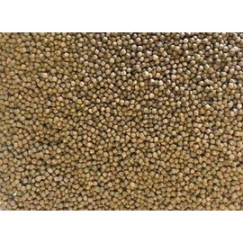 America's Best Koi Food Color Enhancing Small 3.5 mm Floating Pond Pellets Fish Food with Spirulina and Wheat Germ for Koi and Goldfish 35% Protein 10 lb Bag
