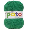 Cygnet Pato Everyday Chunky - Green 877