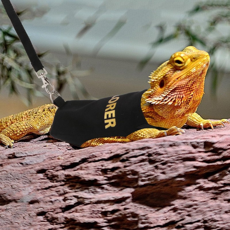 Hypeety Bearded Dragon Harness and Leash Set Adjustable Escape Proof