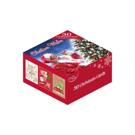 Eurowrap Assorted Christmas Cards + Envelopes Bulk Box Mixed Designs Cute & Traditional - Box of 30