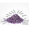 Master The Body Dulse Capsules - Certified Organic 650 MG/Capsule,