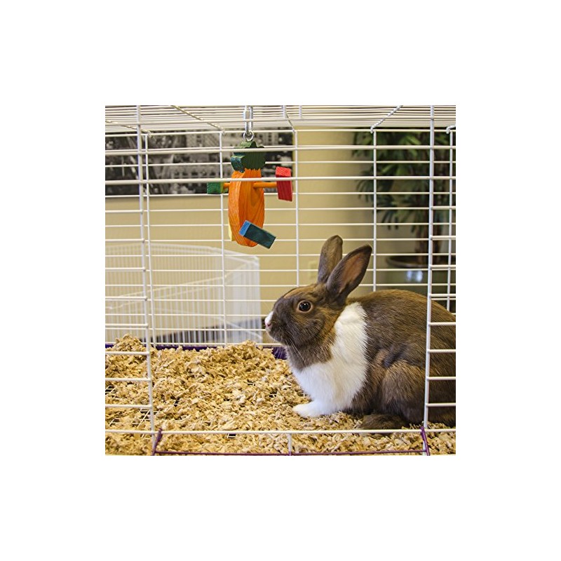 Ware Manufacturing Pine Wood Crazy Carrot Small Pet Chew Toy,