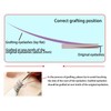 Eyelashes Extension Glue Fast Drying Long Lasting False Eyelash Grafting