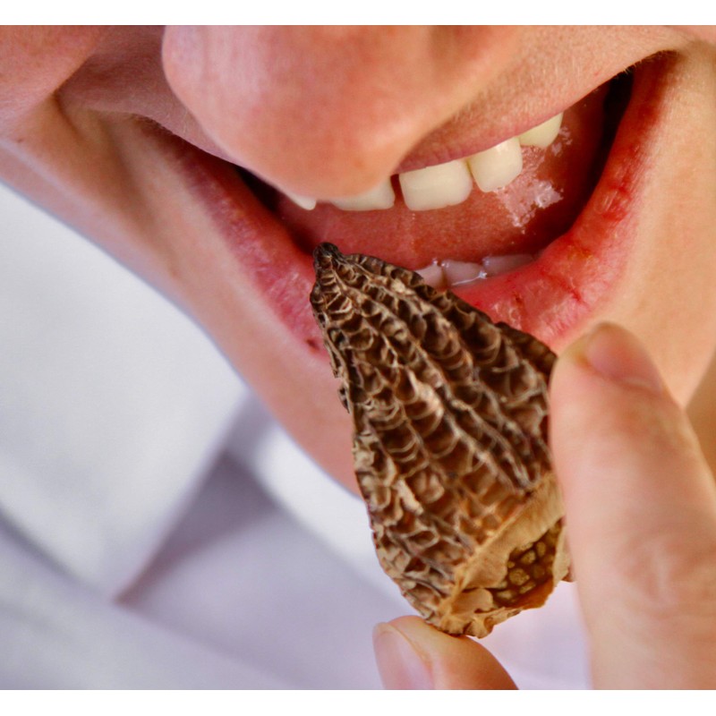 Wild Morel Mushrooms - Sun-Dried Caps (4 - 8 cm)